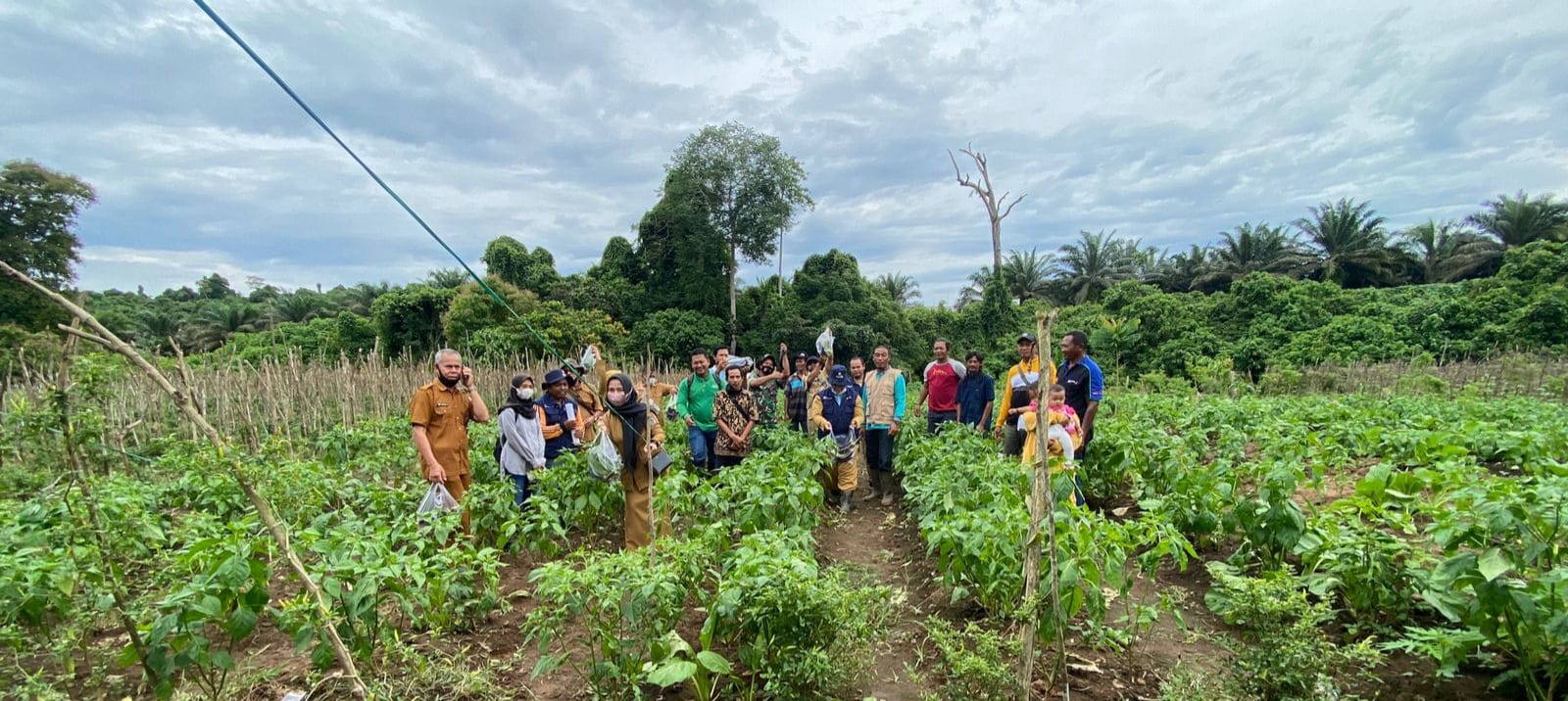 Kegiatan pertemuan, dialog dan panen sayur di lahan Kelompok Tani Semangat Bolum desa Kerang kec Batu Engau